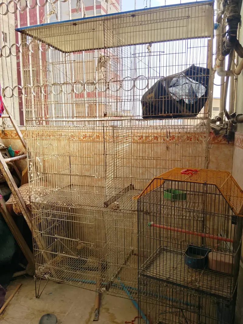 6 partition all ok pinjra — photo 3