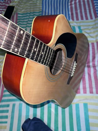 Professional guitar