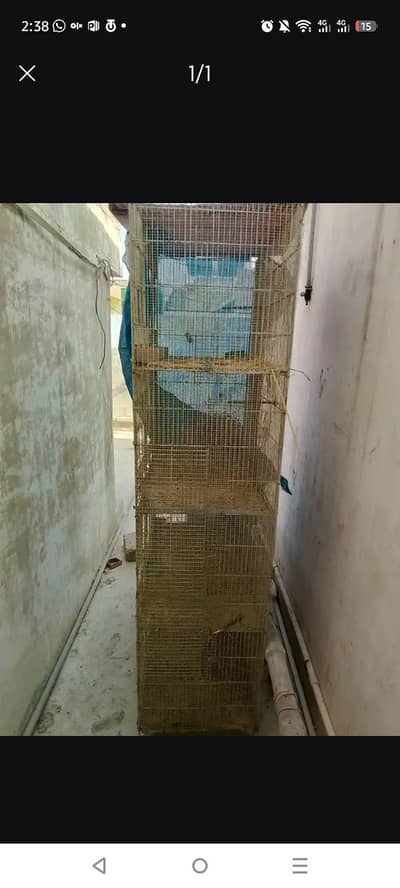 cage for urgent sale