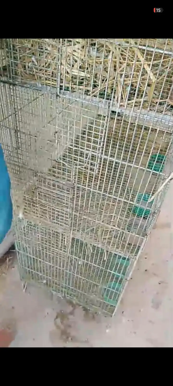cage for urgent sale — photo 2