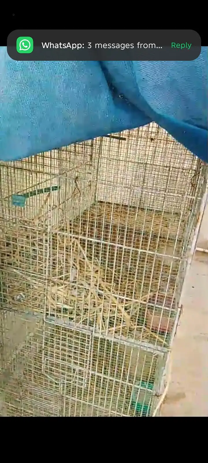 cage for urgent sale — photo 3