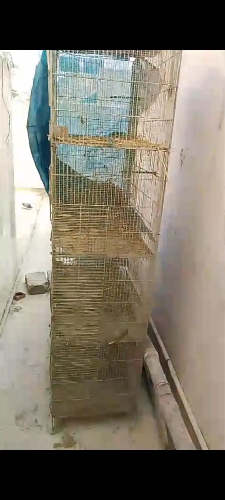 cage for urgent sale — photo 5
