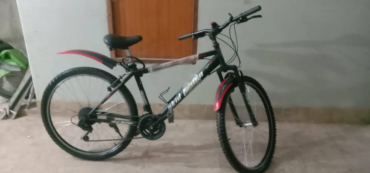 big cycle 2