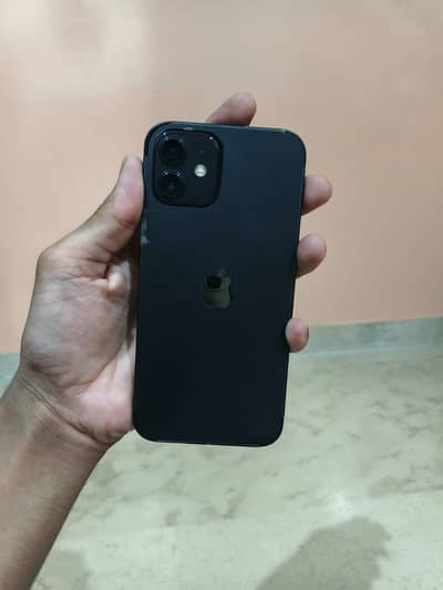 iPhone 12