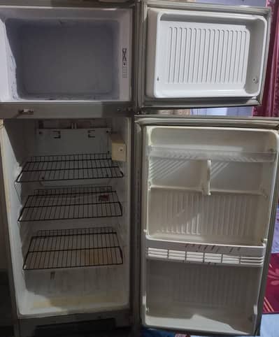 Singer fridge