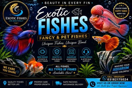 All types of fish available like molly, guppy, gold fish, betta