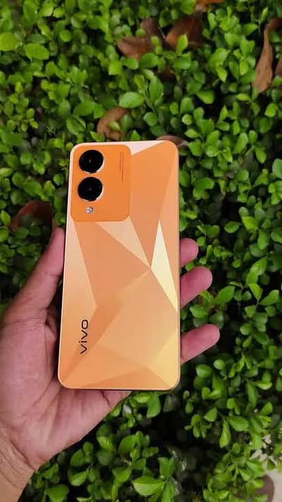 Vivo Y17s Box And charger