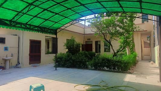 Kanal Single Storey House For Rent. (Only Office Use)