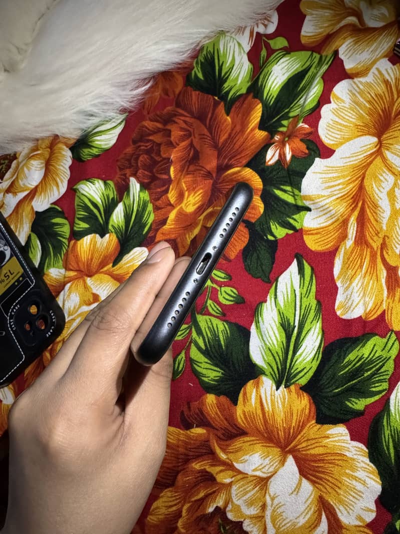 iPhone 11 3