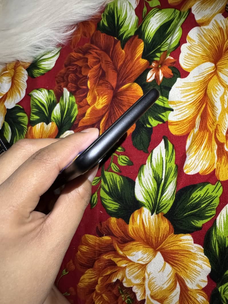 iPhone 11 6