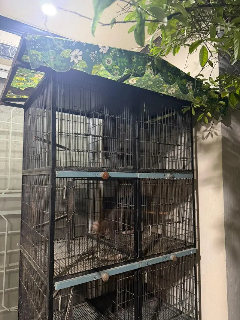 8 portion Doubel wire cage — photo 2