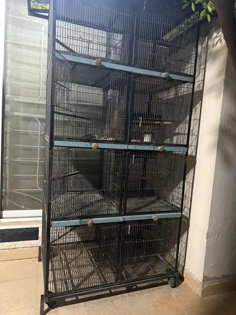 8 portion Doubel wire cage — photo 3