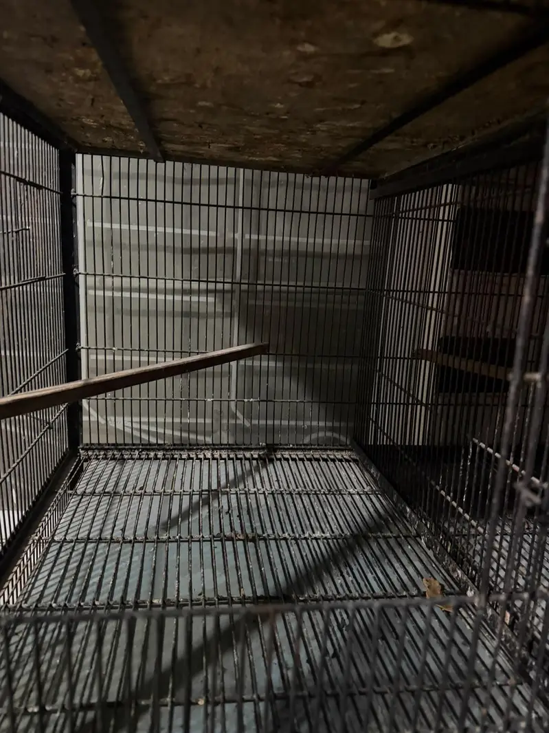 8 portion Doubel wire cage — photo 4