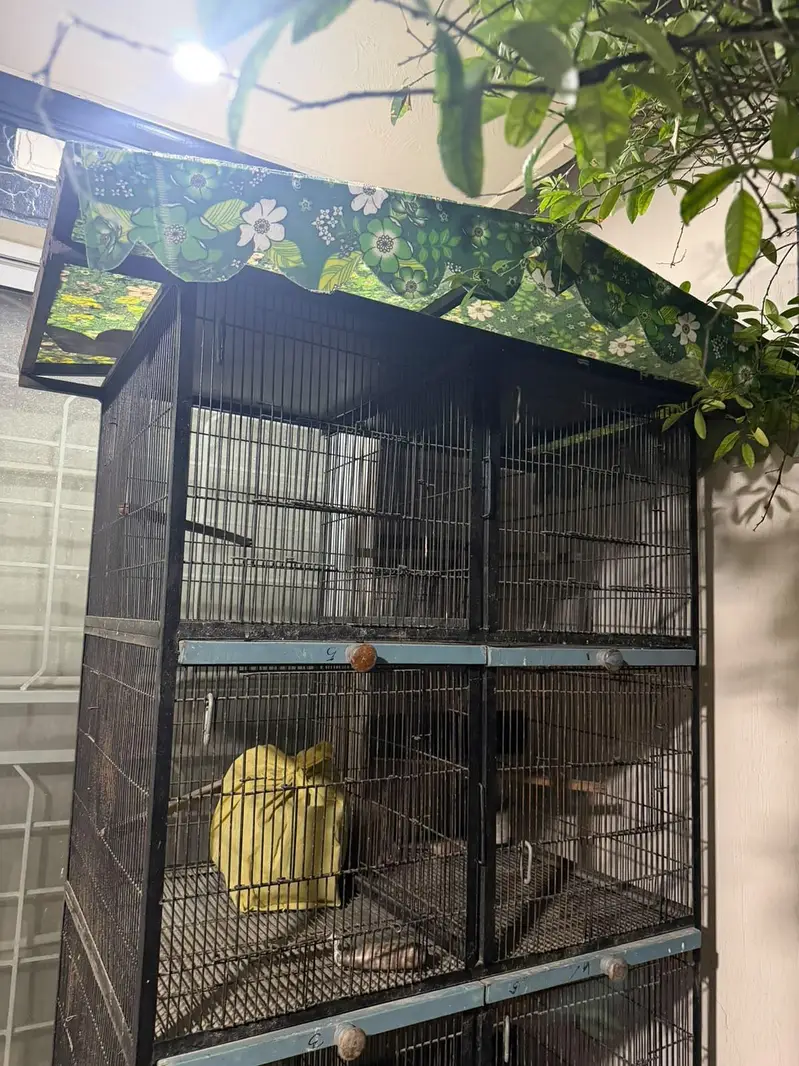 8 portion Doubel wire cage — photo 5