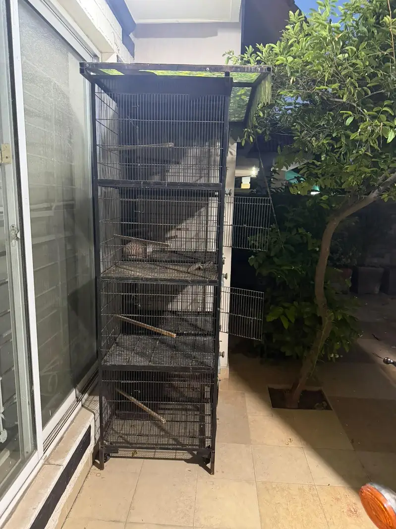 8 portion Doubel wire cage — photo 6