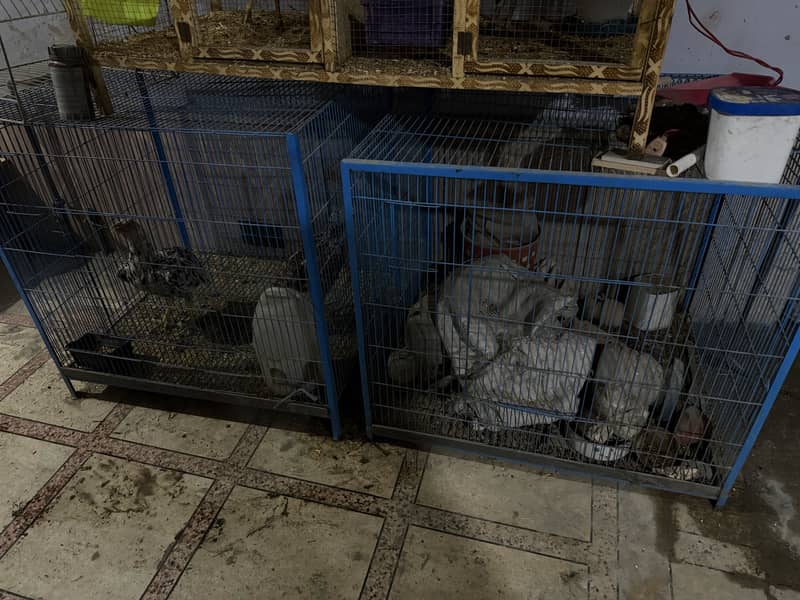 Hen cage 0