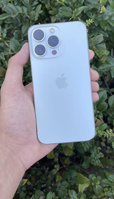 Apple iPhone 13 Pro