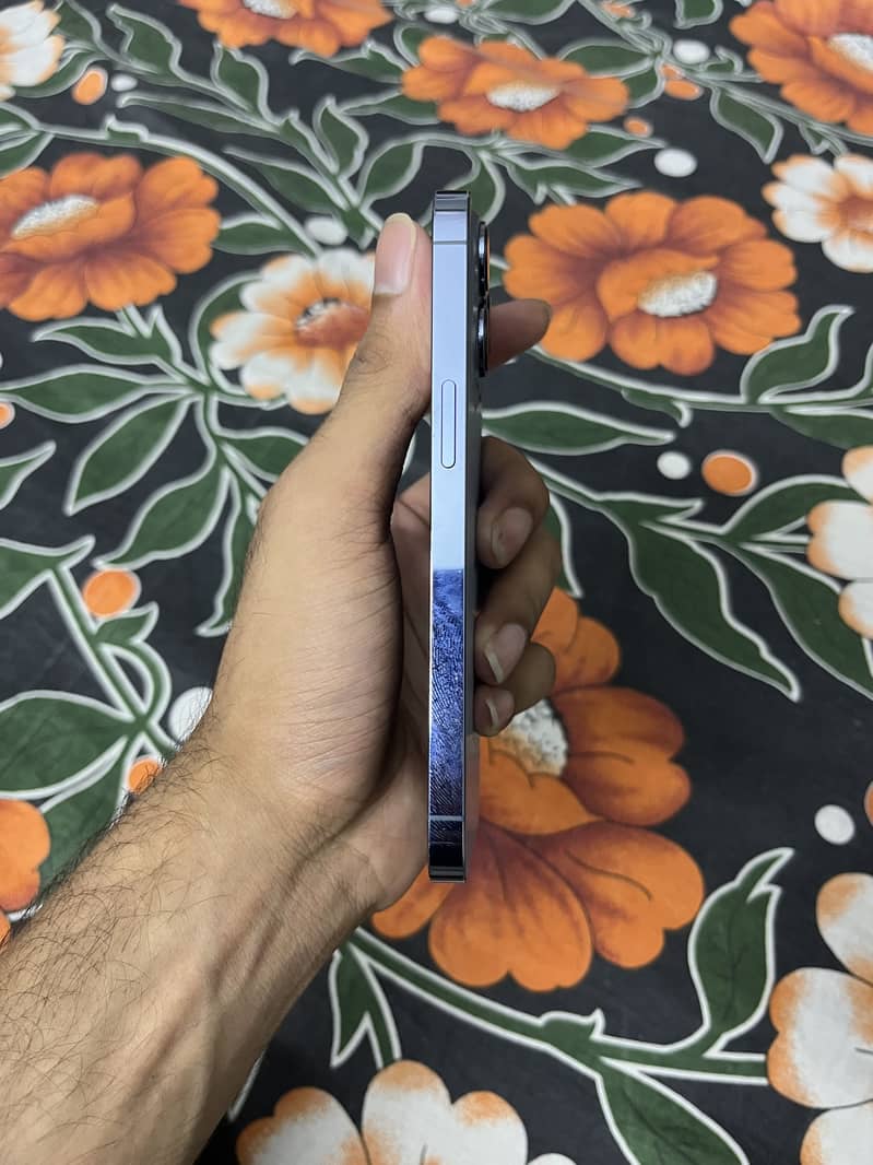 Apple iPhone 13 Pro 1