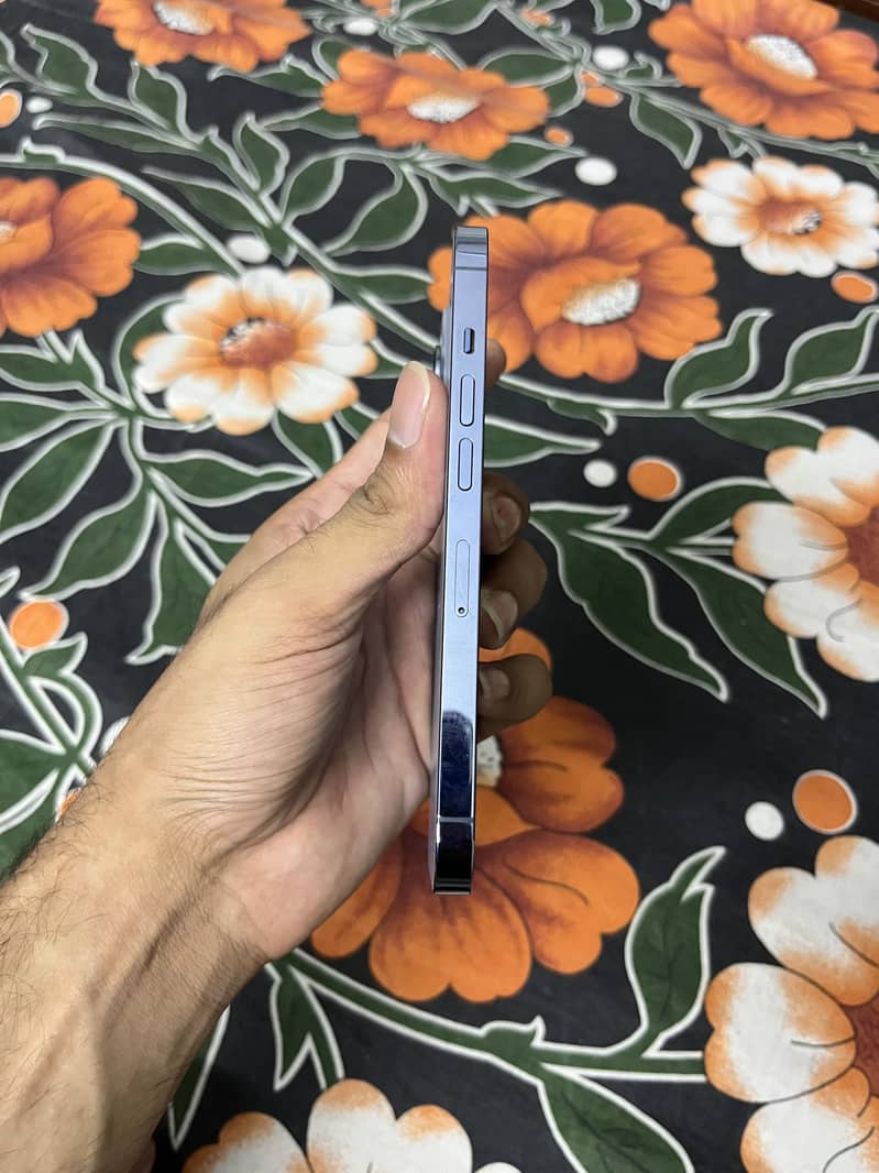 Apple iPhone 13 Pro 4