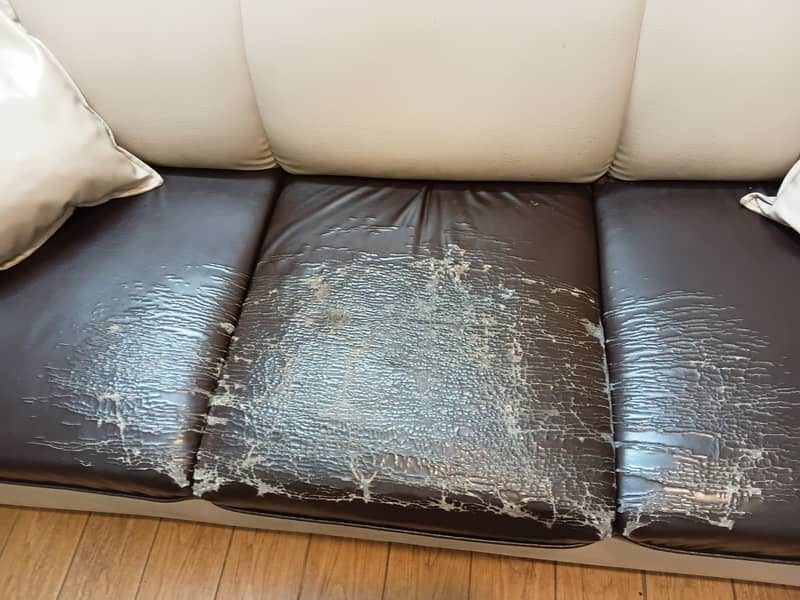Excellent sofa 4