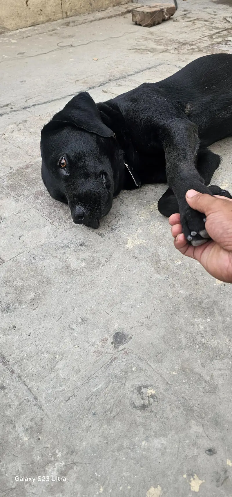 Es number pr rabta kare 03092808018. wattsapp — photo 5