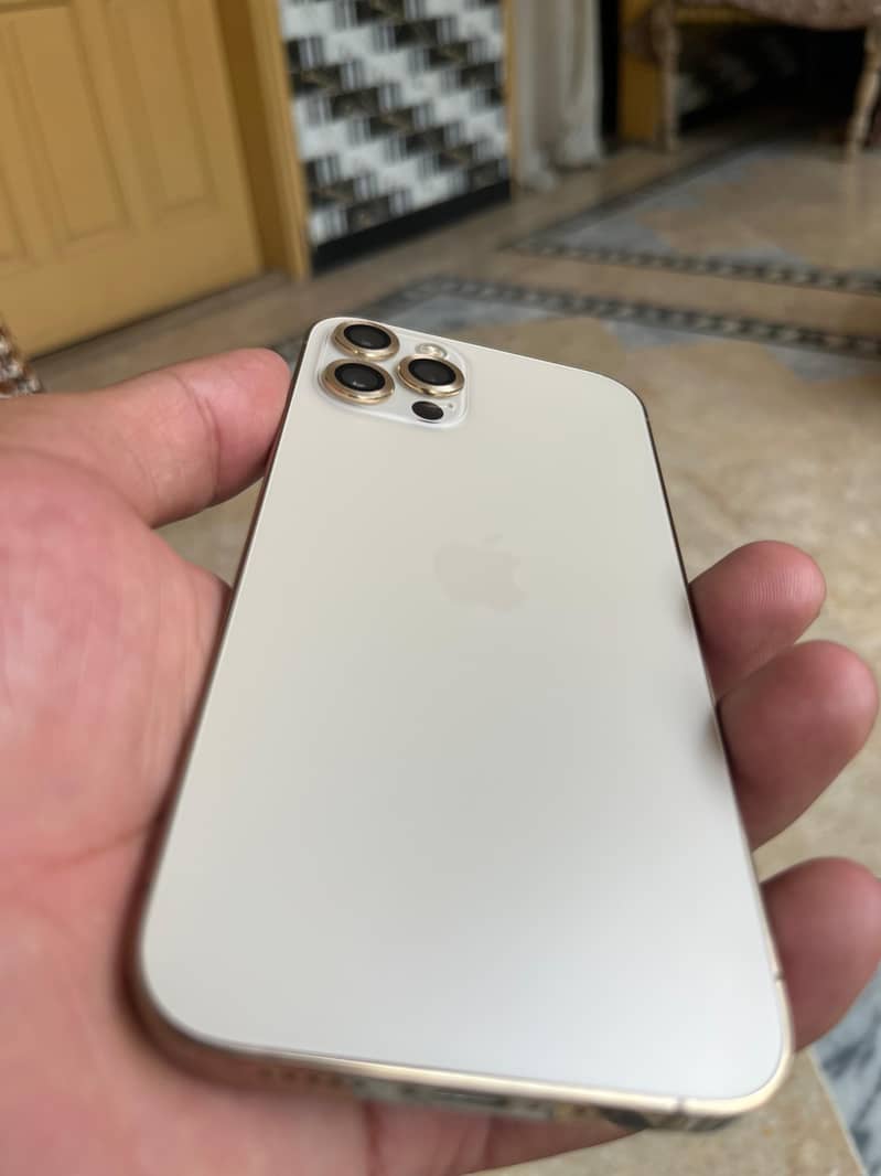 Apple iPhone 12 1