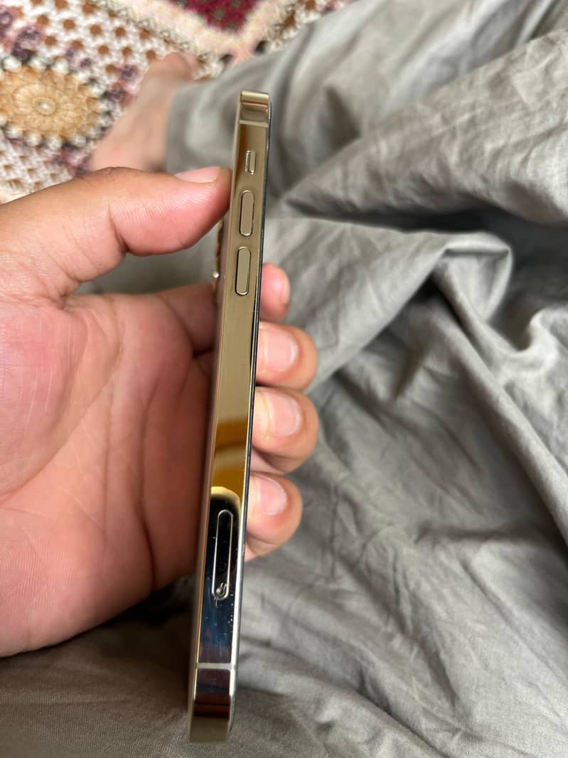 Apple iPhone 12 5