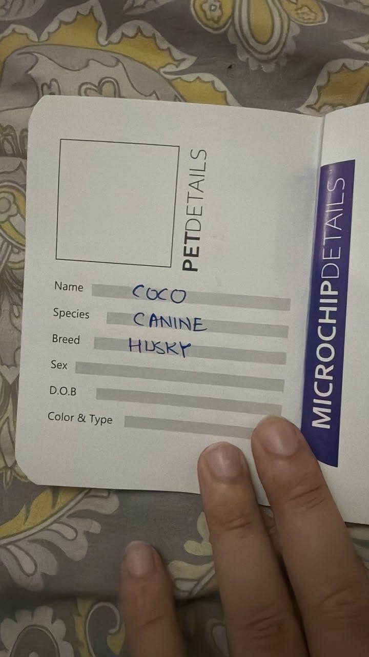 Husky COCO 3