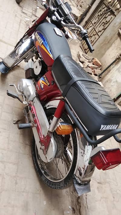 only call plazzz 03127808685