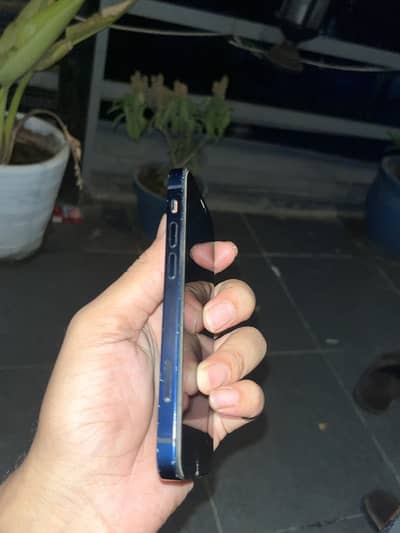 Apple iPhone 12 mini