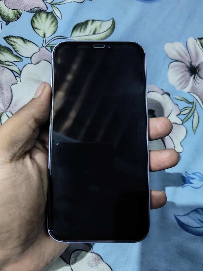 Apple iPhone 12 5