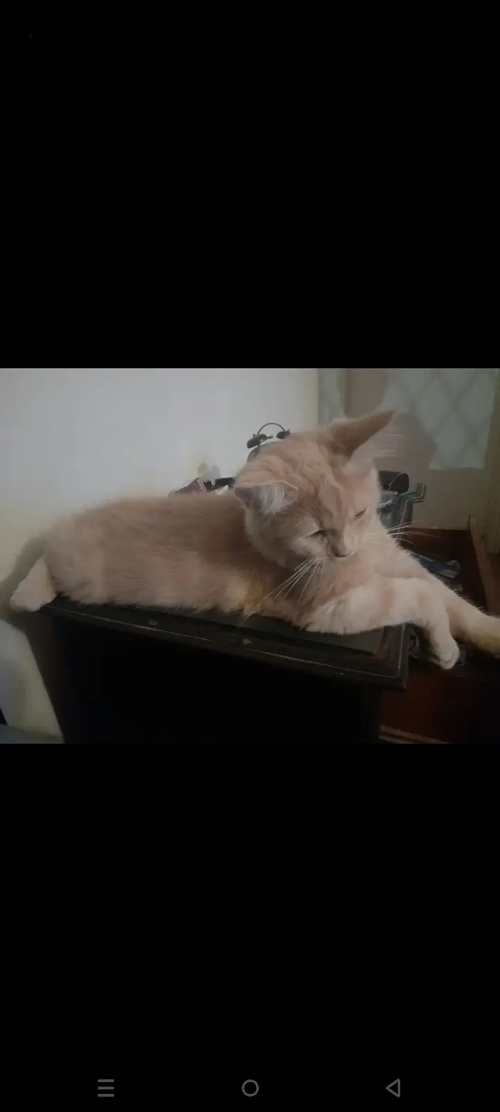 3 month — photo 2