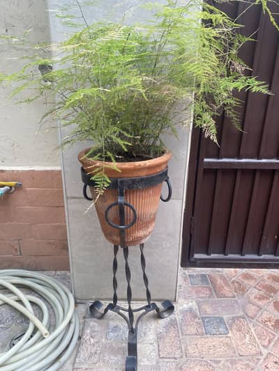 Plant Stand