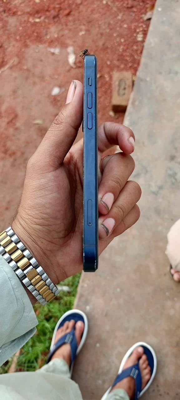 Apple iPhone 12 5