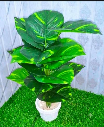 Artificial Decorative Plant 2ft with White Pot – Big Bushy Leaves