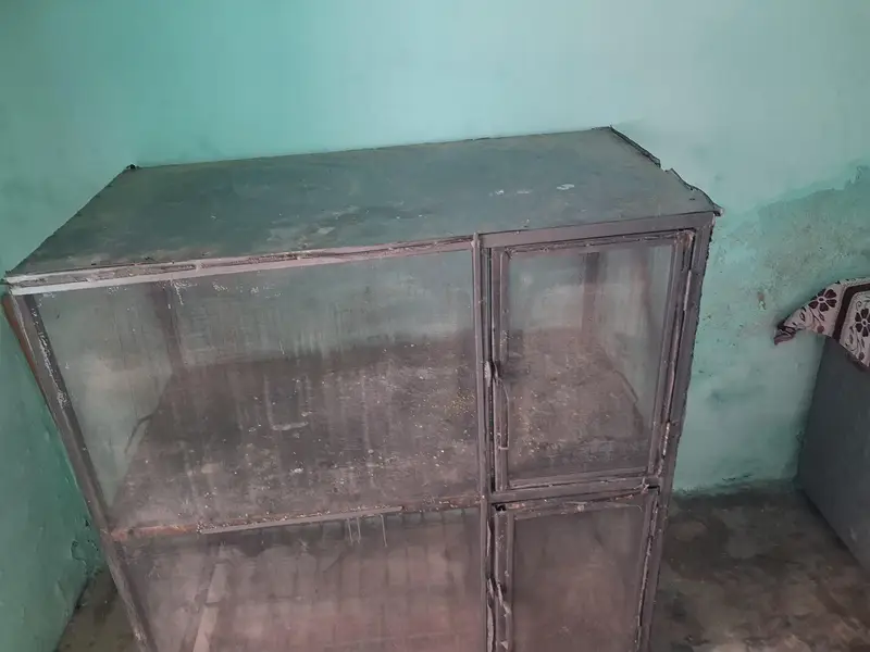big bird cage for sale