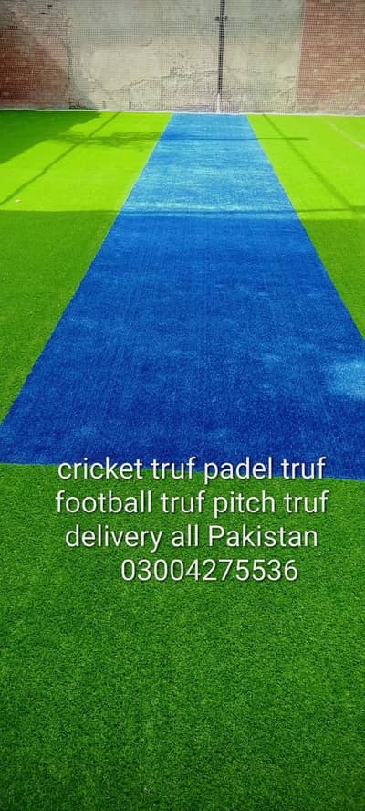 artificial grass cricket ground