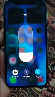 Apple iPhone 12 1