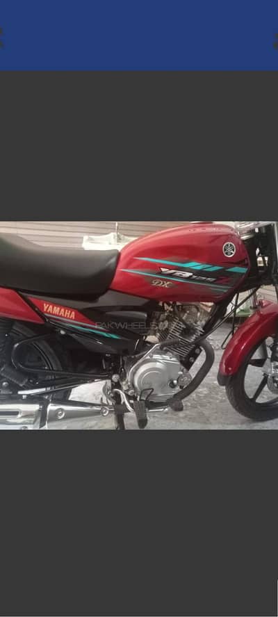 Yamaha
