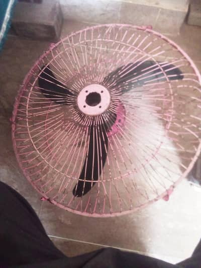 12volt DC fan