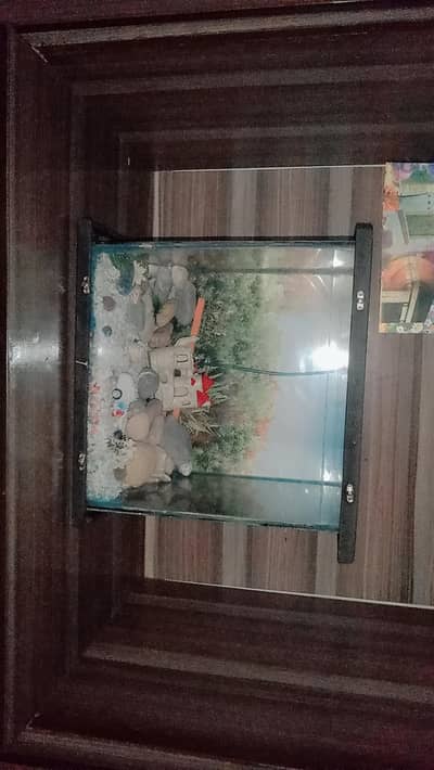 home decoration