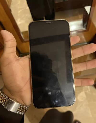 Apple iPhone 12 Pro Max