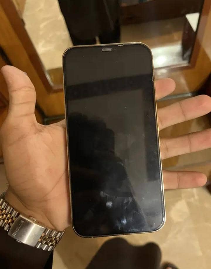 Apple iPhone 12 Pro Max 0
