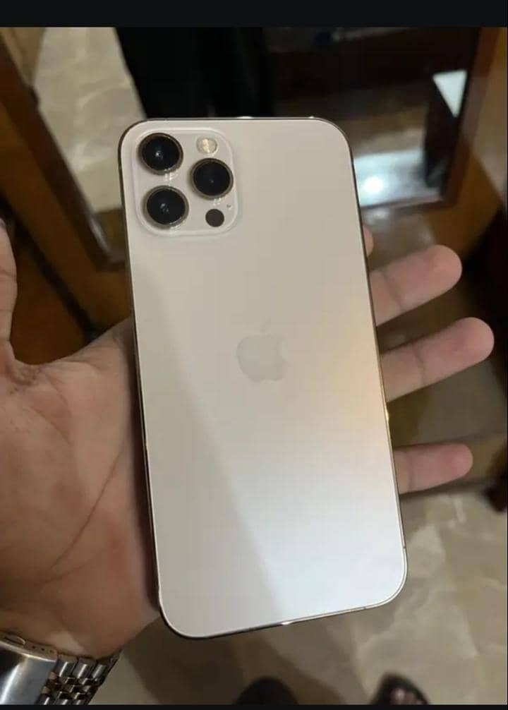Apple iPhone 12 Pro Max 1