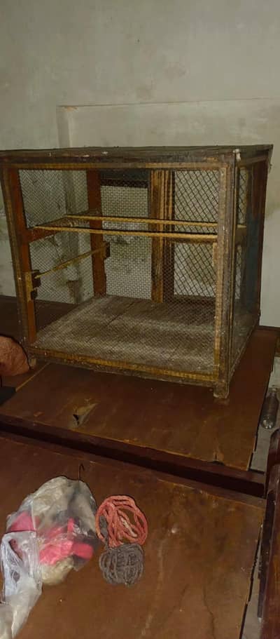 urgent sale  cage/ Australia parrot /hens  and other