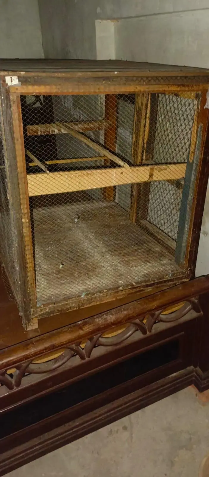 urgent sale  cage/ Australia parrot /hens  and other — photo 2