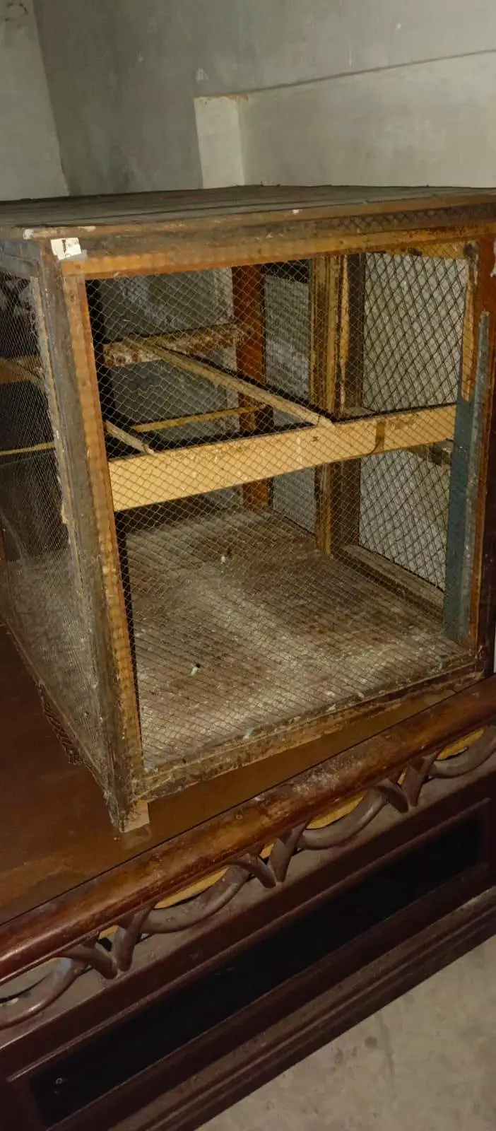 urgent sale  cage/ Australia parrot /hens  and other — photo 4