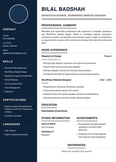 Need job in karachi