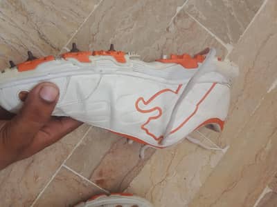 cricket spikes puma size 10
