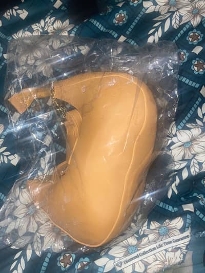 Ladies hand bag